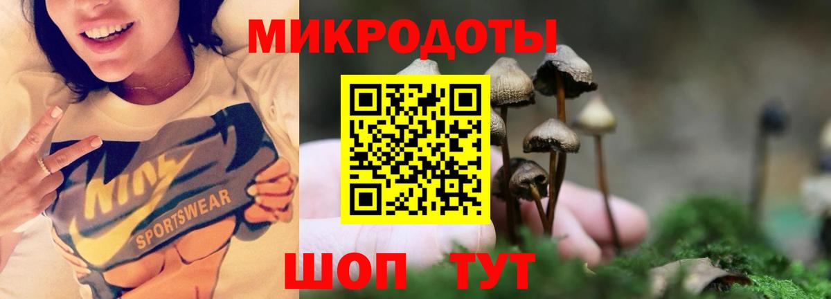 Галлюциногенные грибы Magic Shrooms  Вход с VPN  где можно купить наркотик  Полевской 